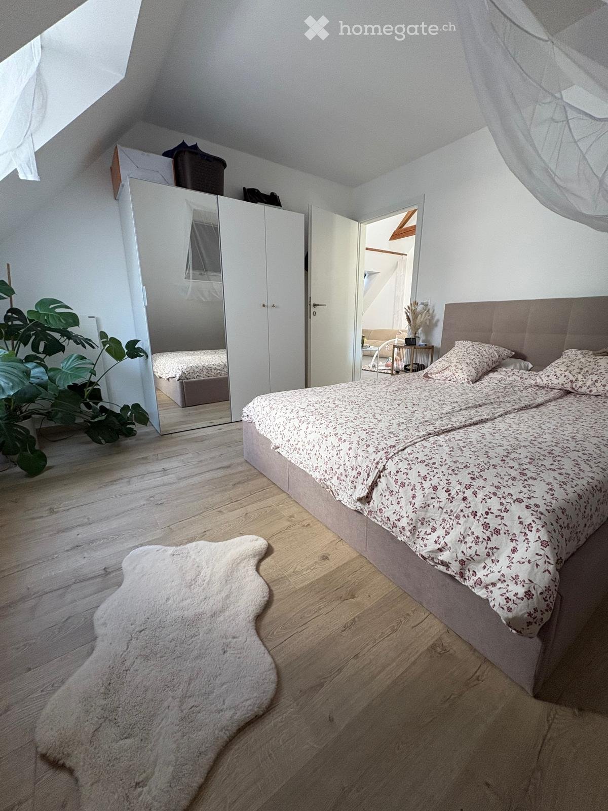 3 ½ Zimmer-Wohnung