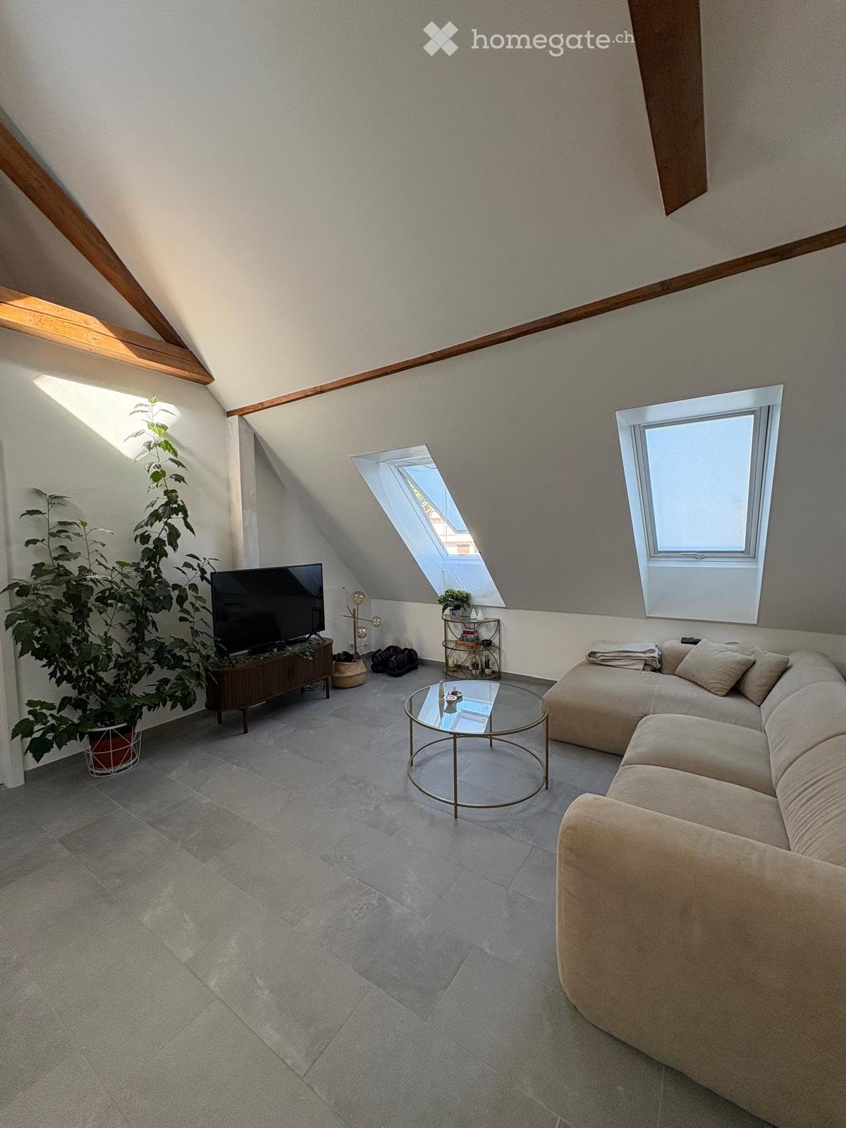 3 ½ Zimmer-Wohnung