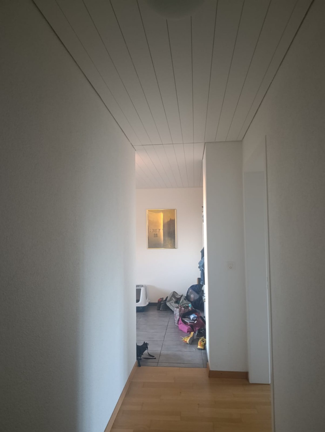 2 rooms apartment, Foto 1 von 8
