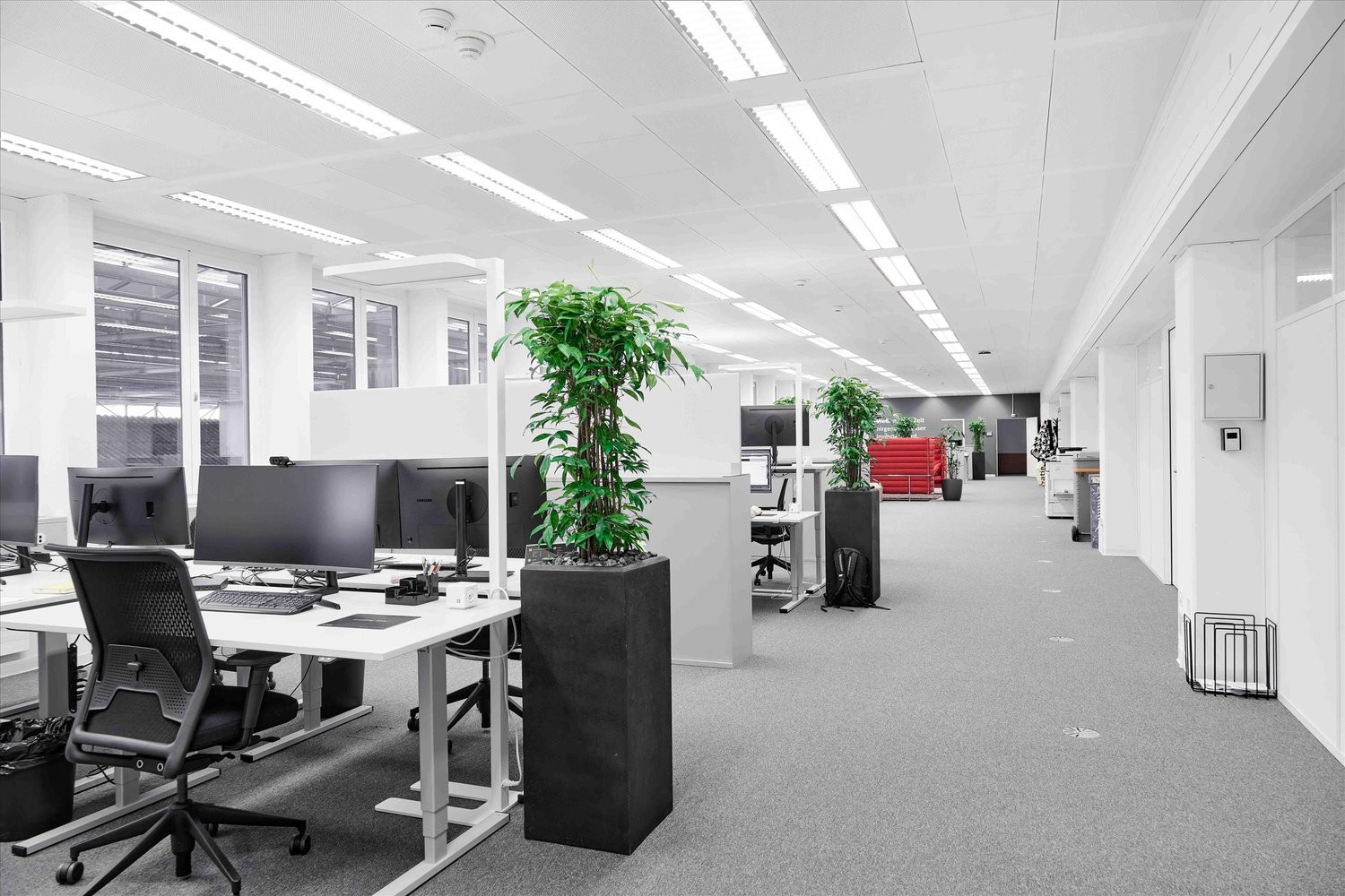135m² office