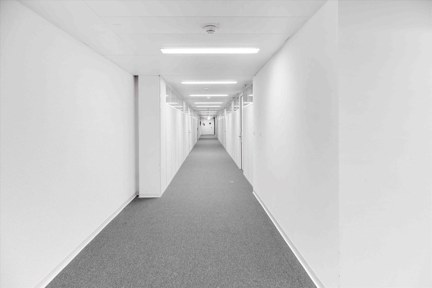 135m² office