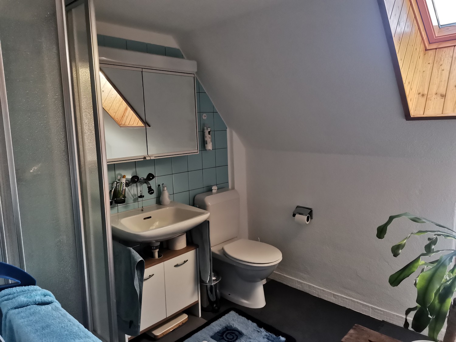 Room in a shared flat