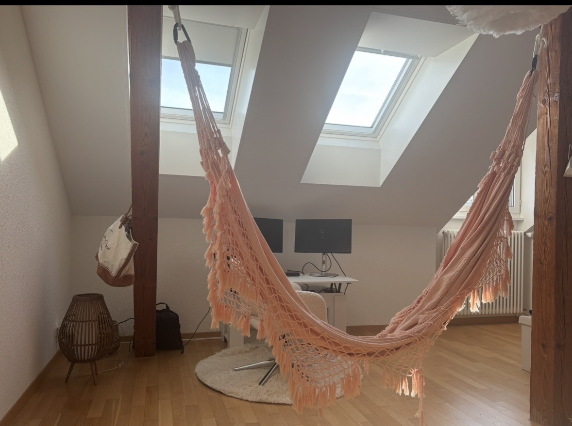 1 ½ Zimmer Wohnung
