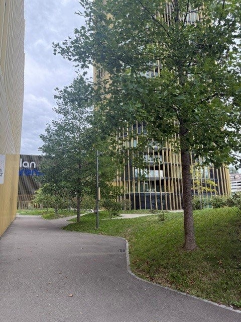 133m² commercial, Foto 3 von 7