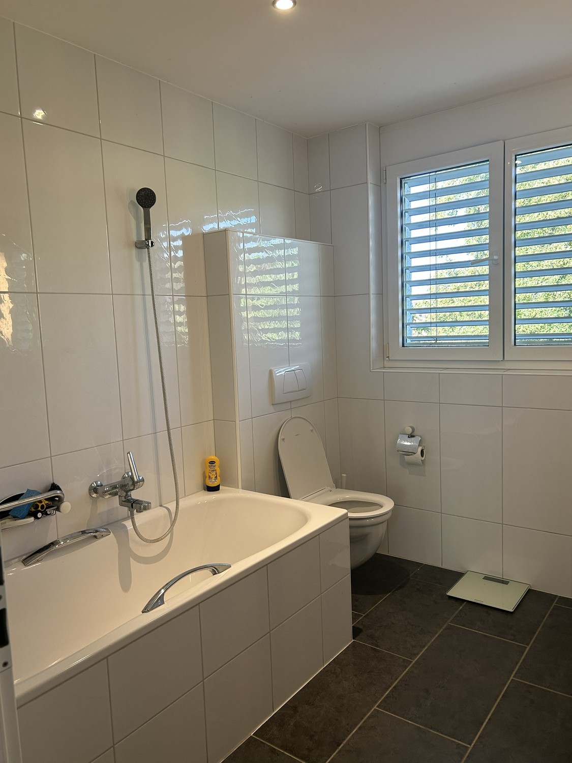 4 ½ rooms apartment