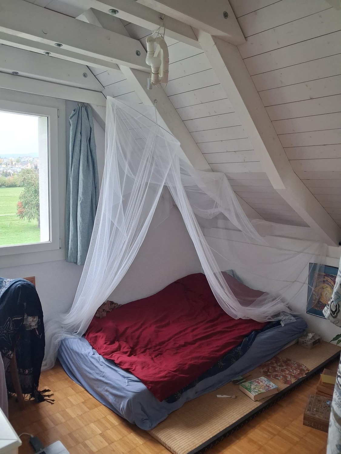 Room in a shared flat
