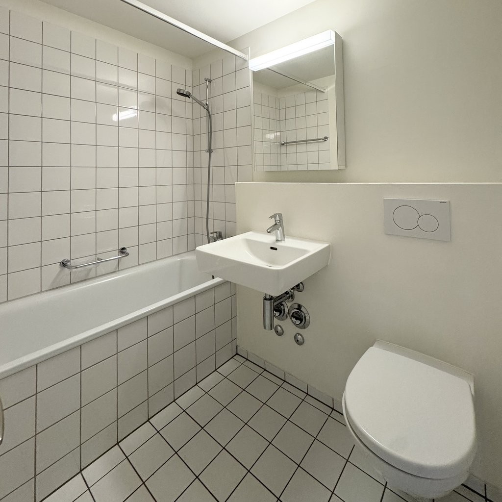 4 ½ rooms apartment (9)