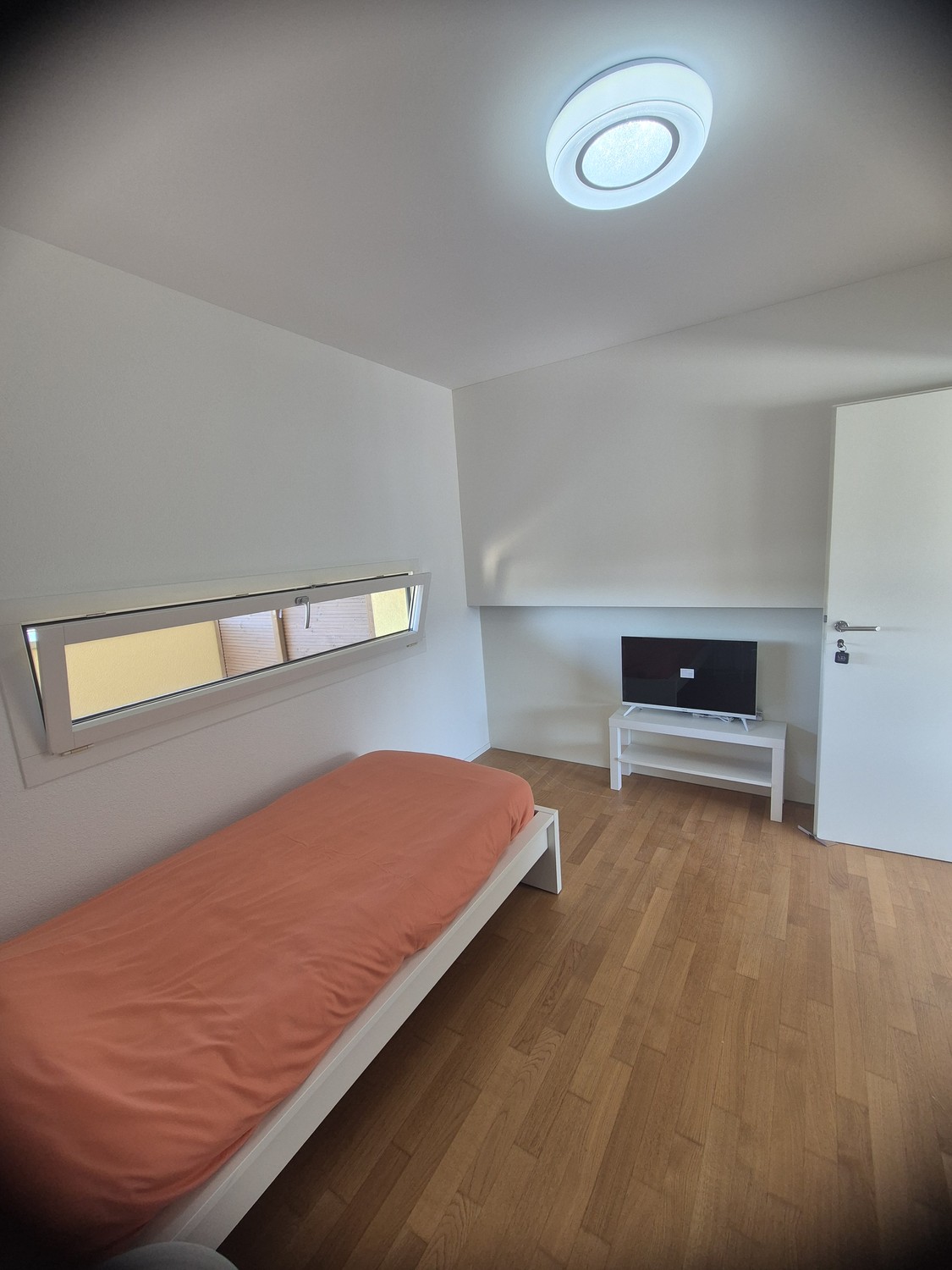 Stanze in appartamento condiviso