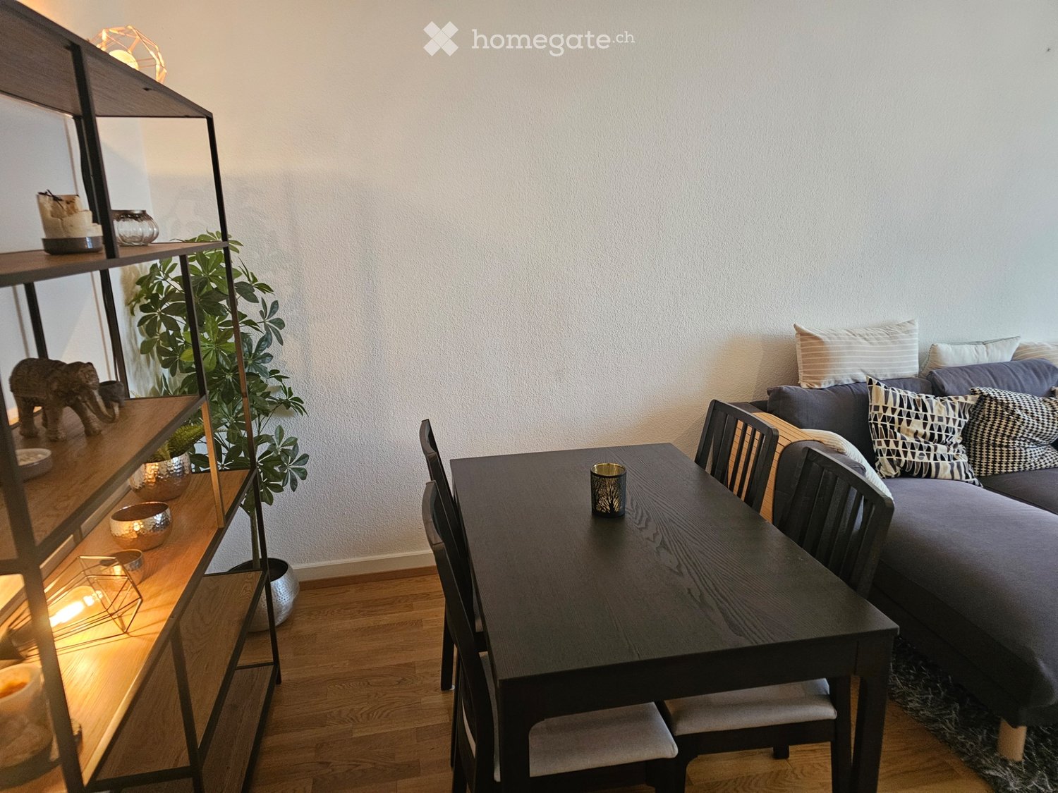 2 ½ Zimmer-Wohnung