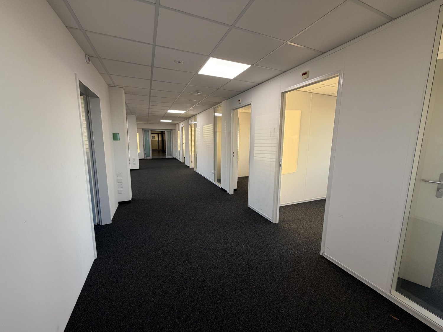236m² bureau