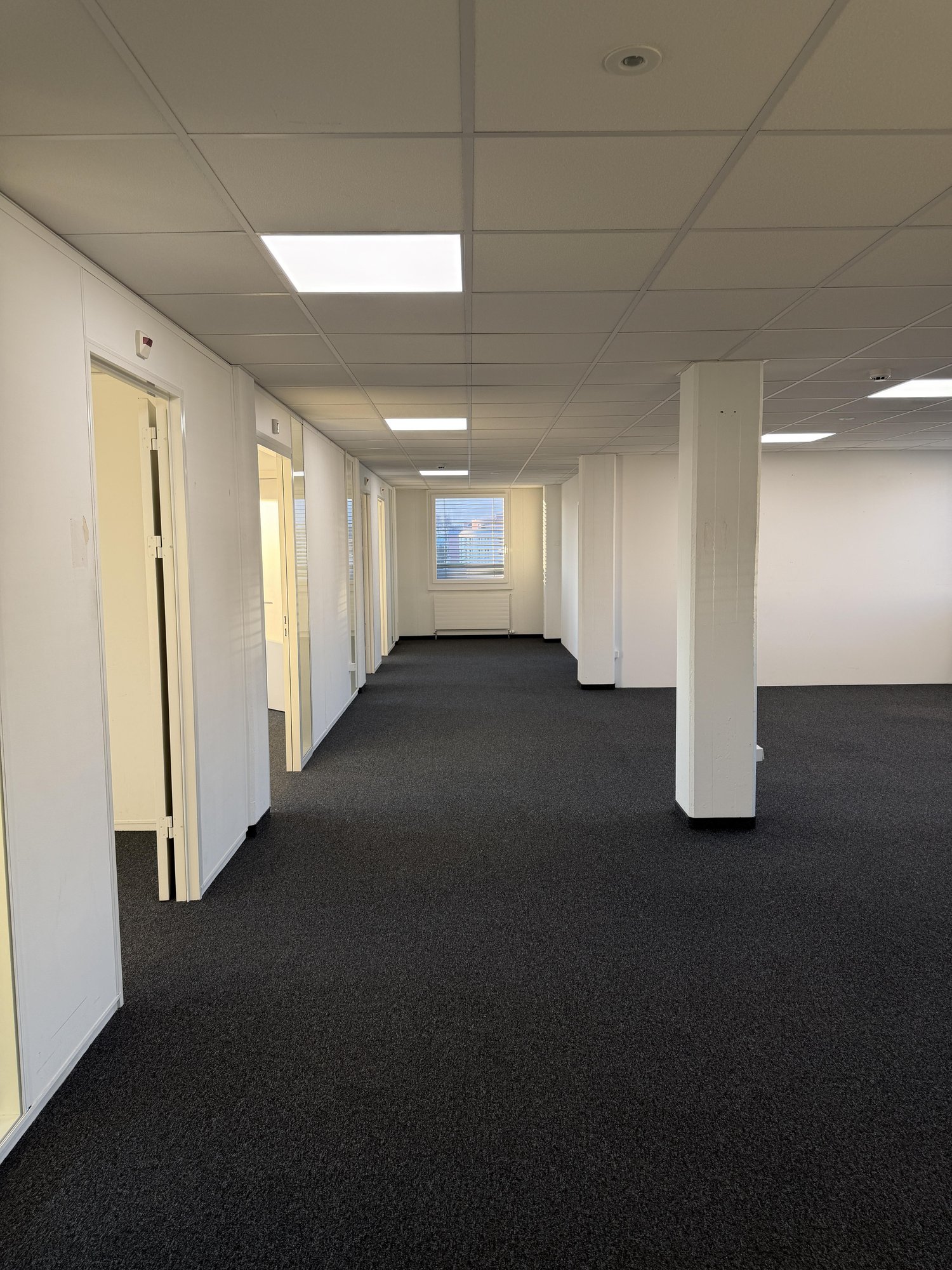 236m² bureau
