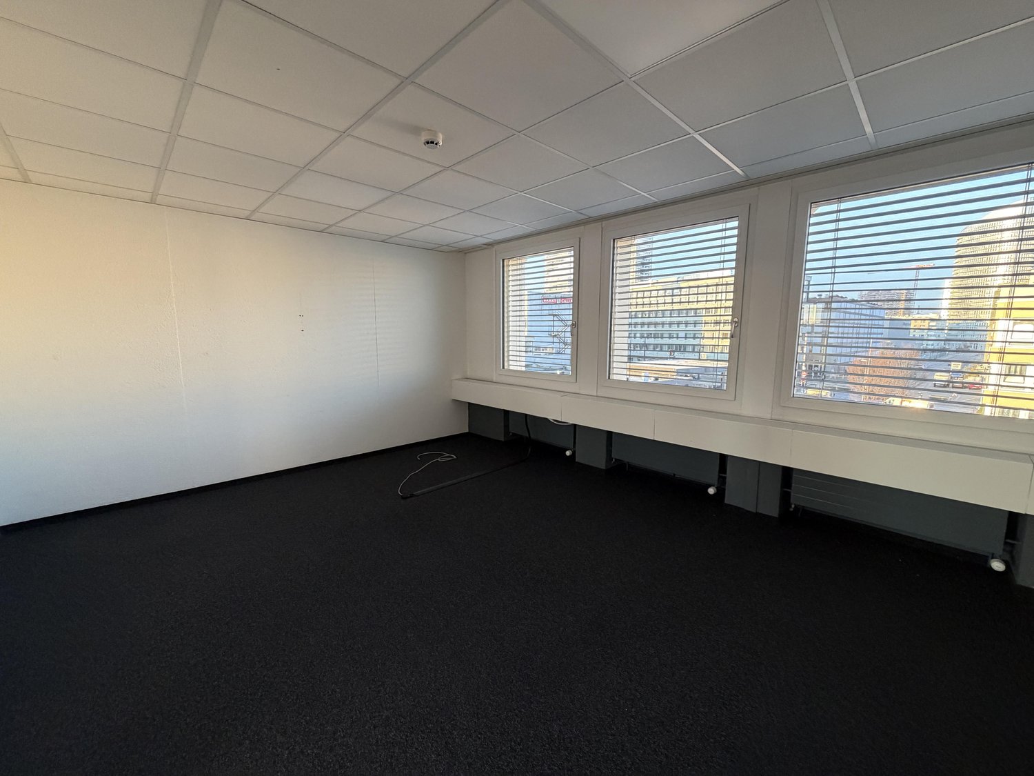236m² bureau