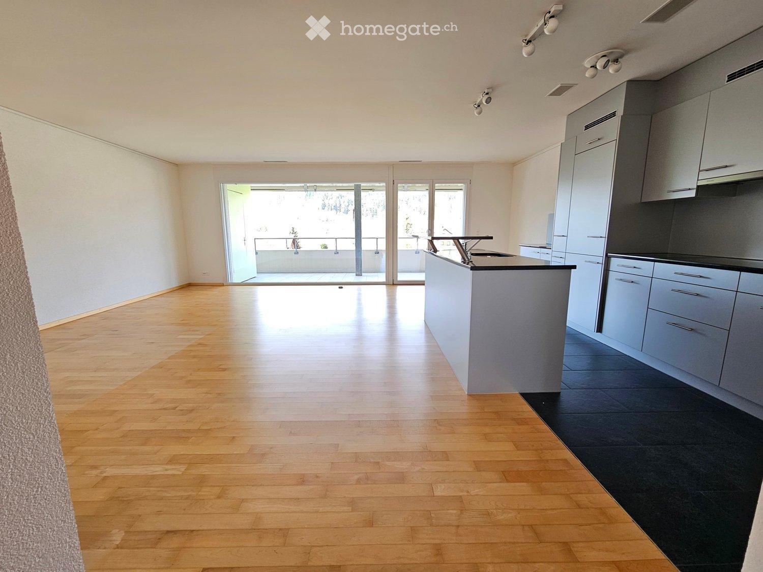 3 ½ rooms apartment (4)