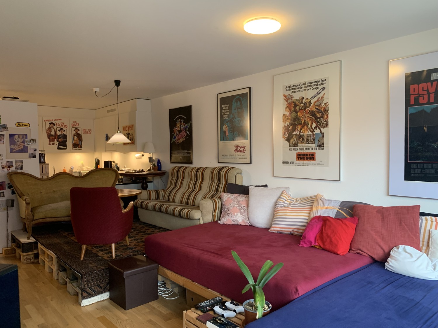 Room in a shared flat