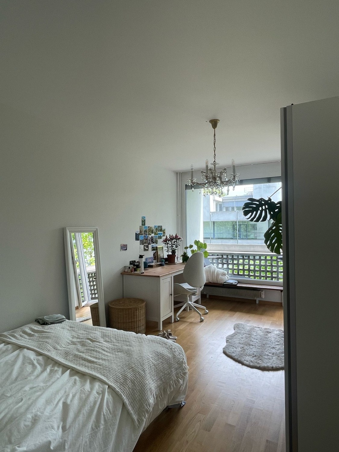 Room in a shared flat
