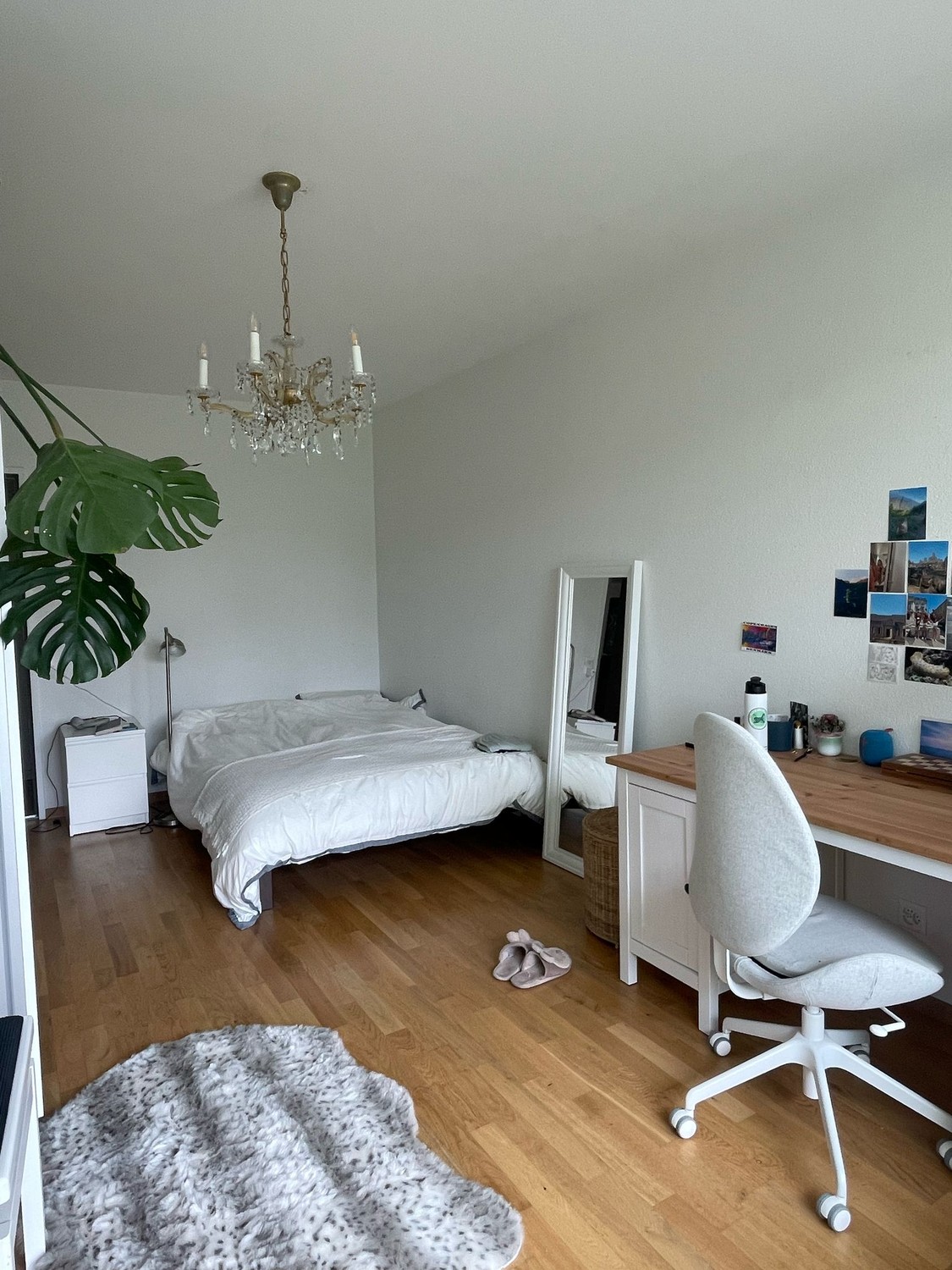 Room in a shared flat