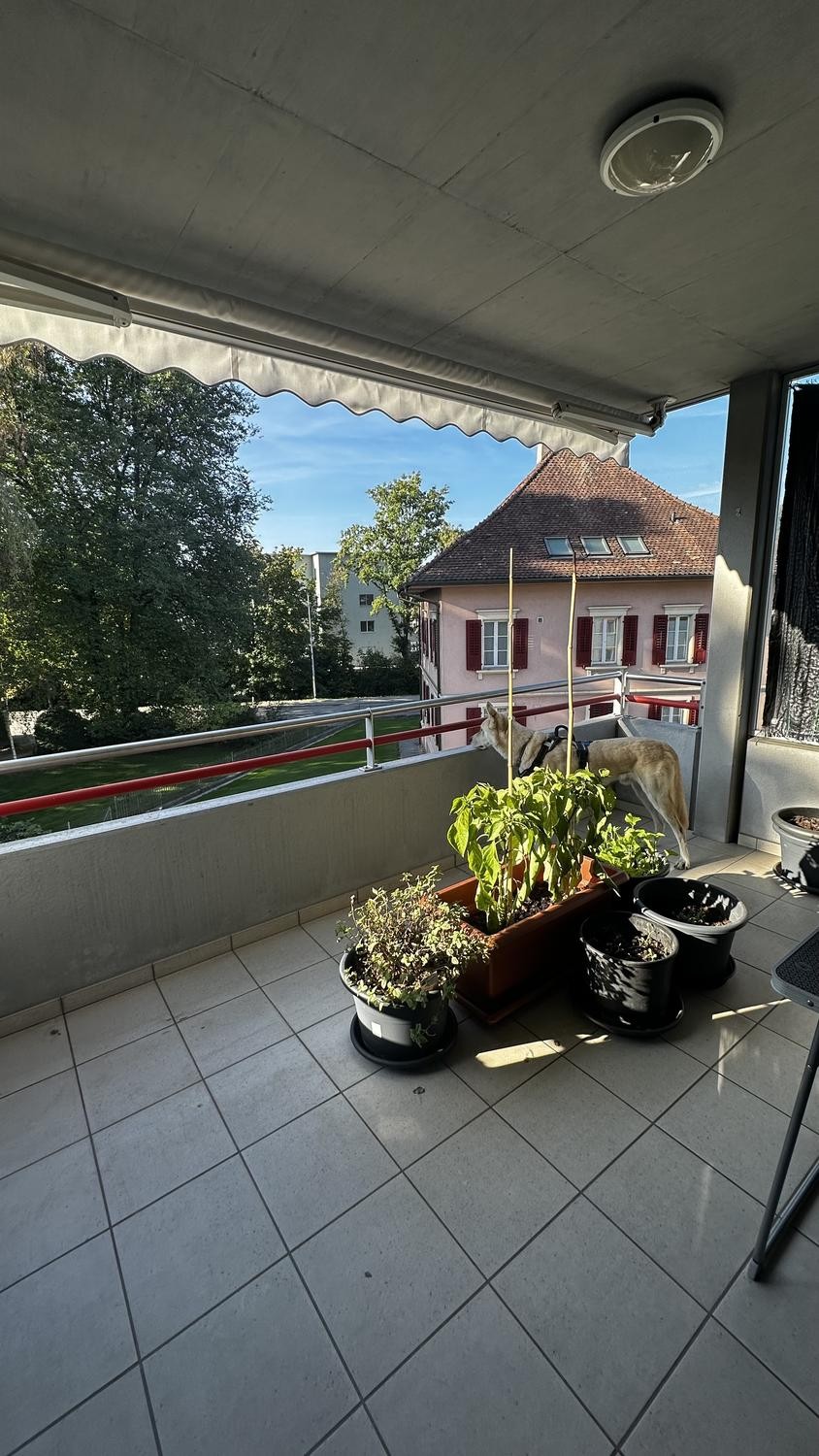 4 ½ rooms apartment