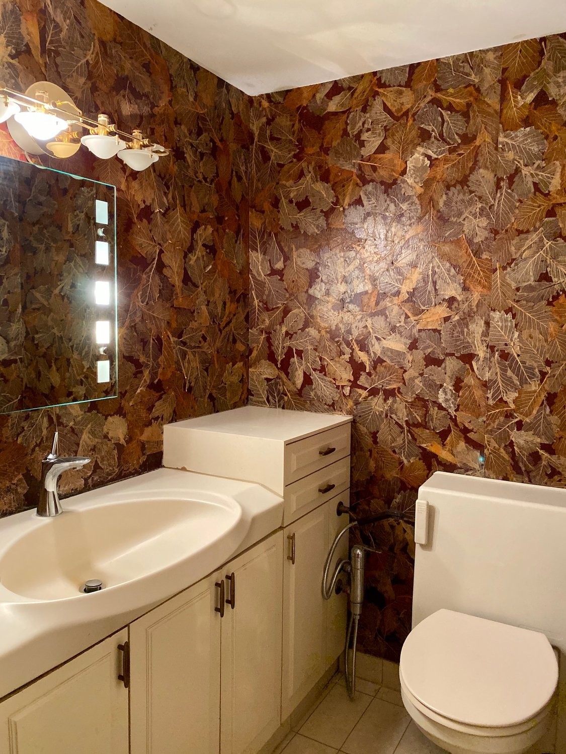 5 ½ rooms duplex