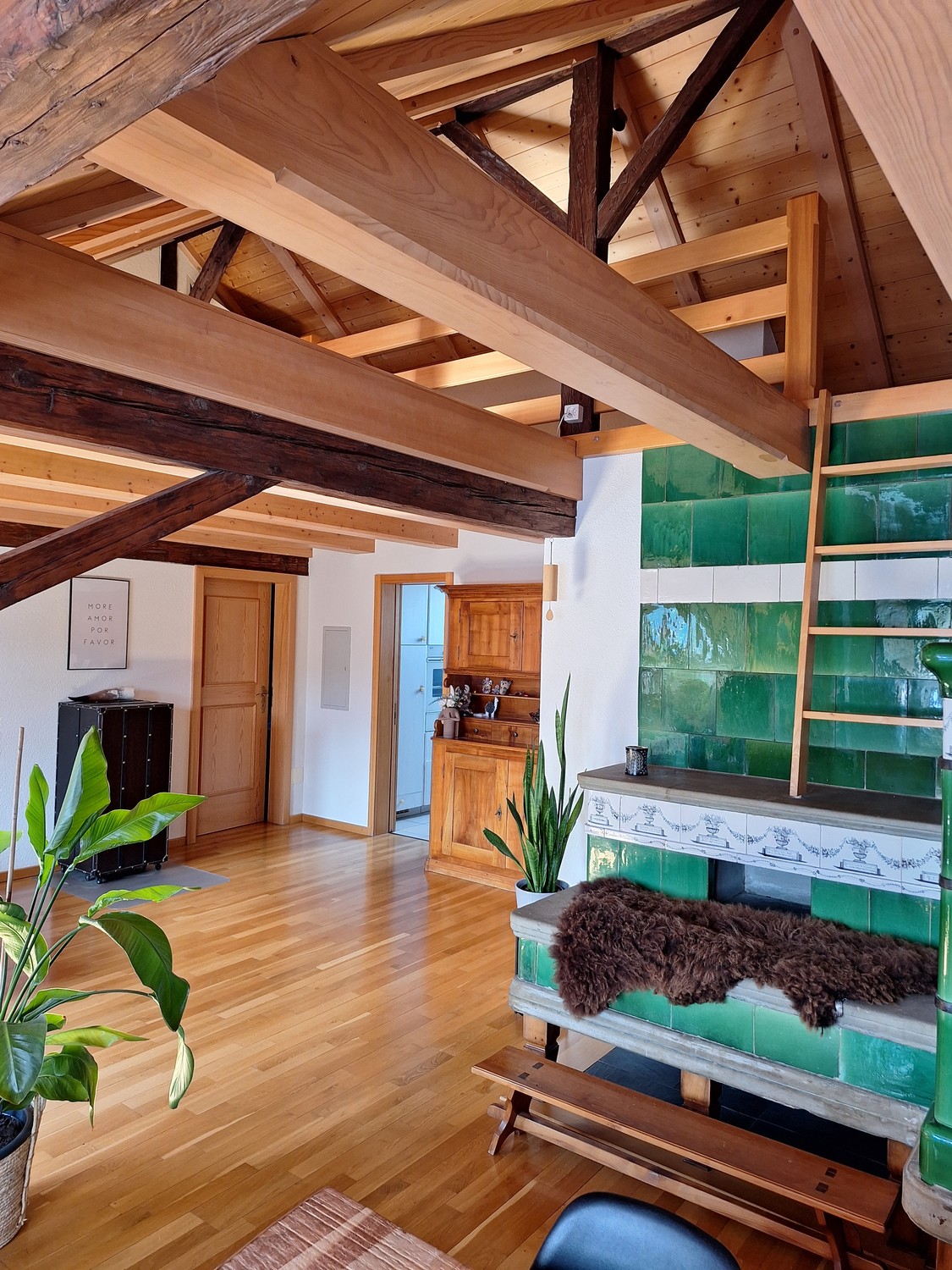 Appartement de 3 ½ pièces