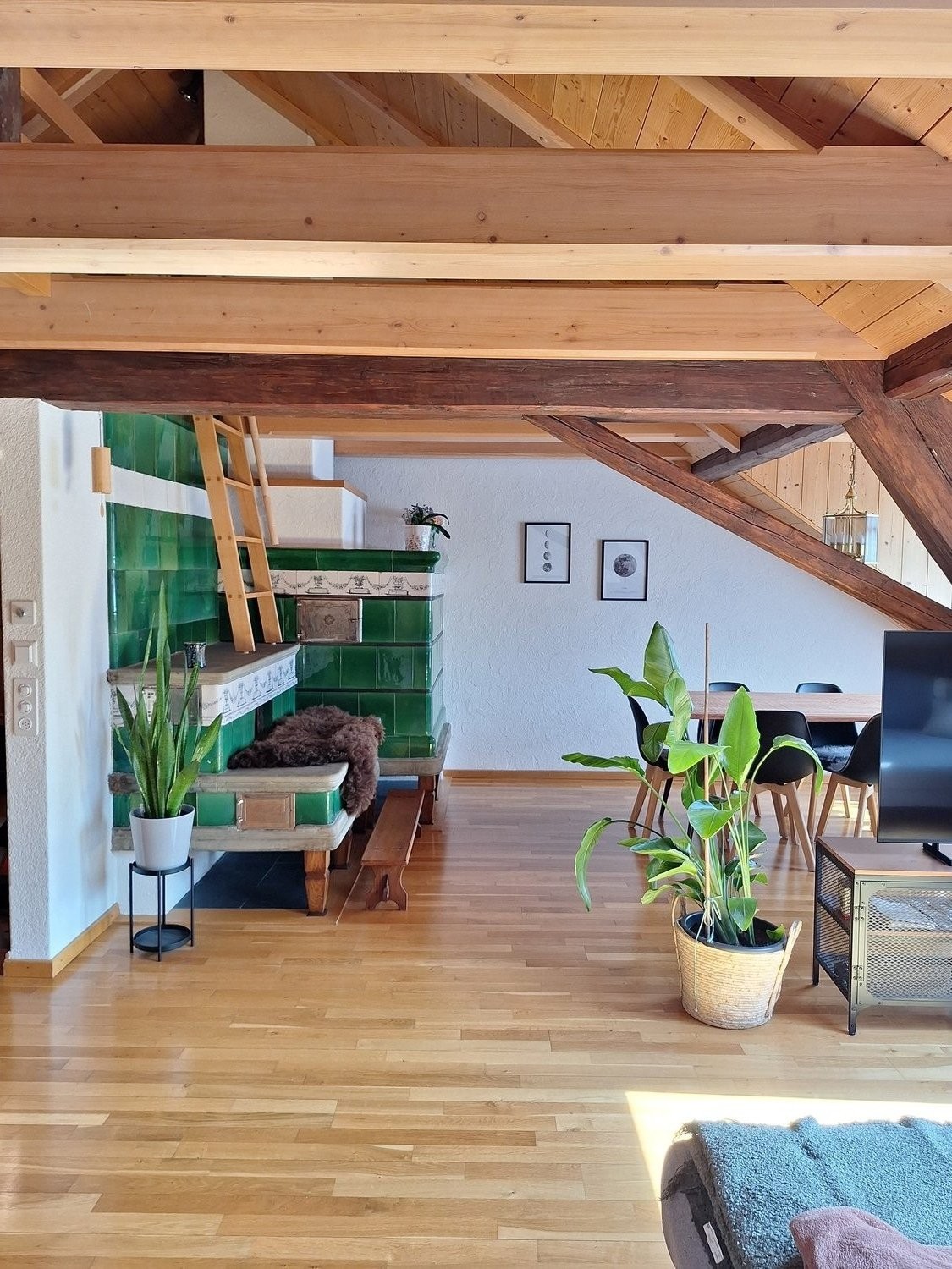 Appartement de 3 ½ pièces