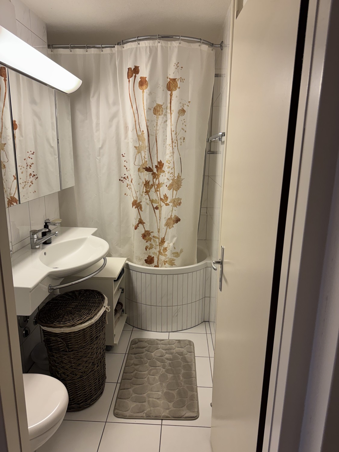 2 ½ rooms apartment