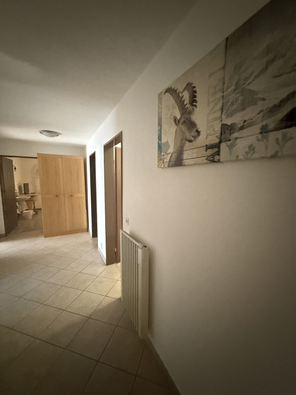 Room in a shared flat
