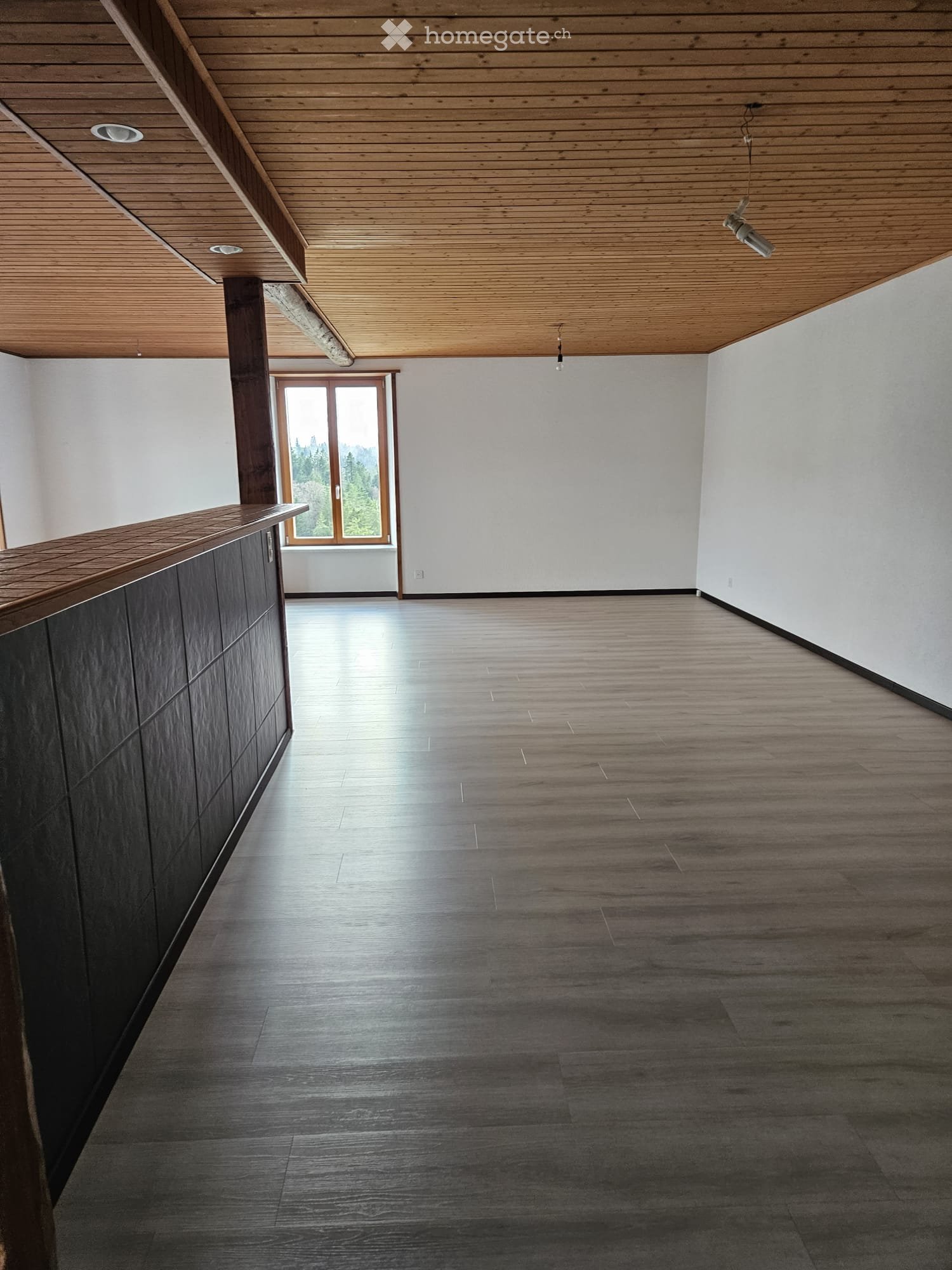 6 ½ rooms apartment