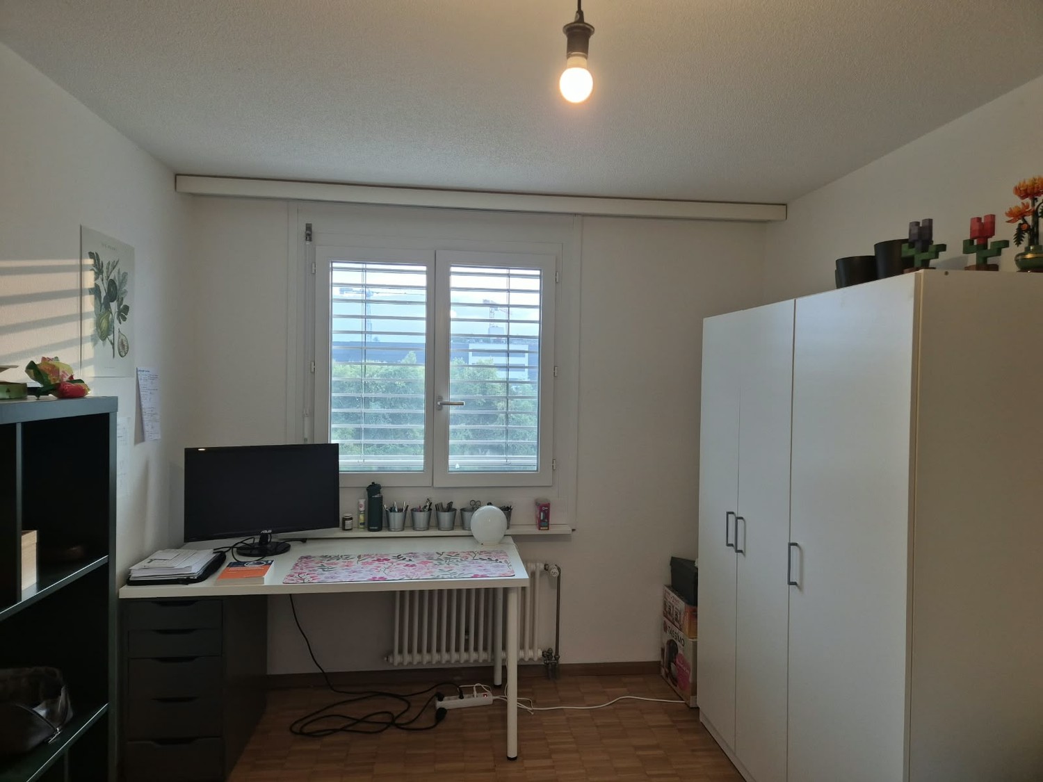 Room in a shared flat