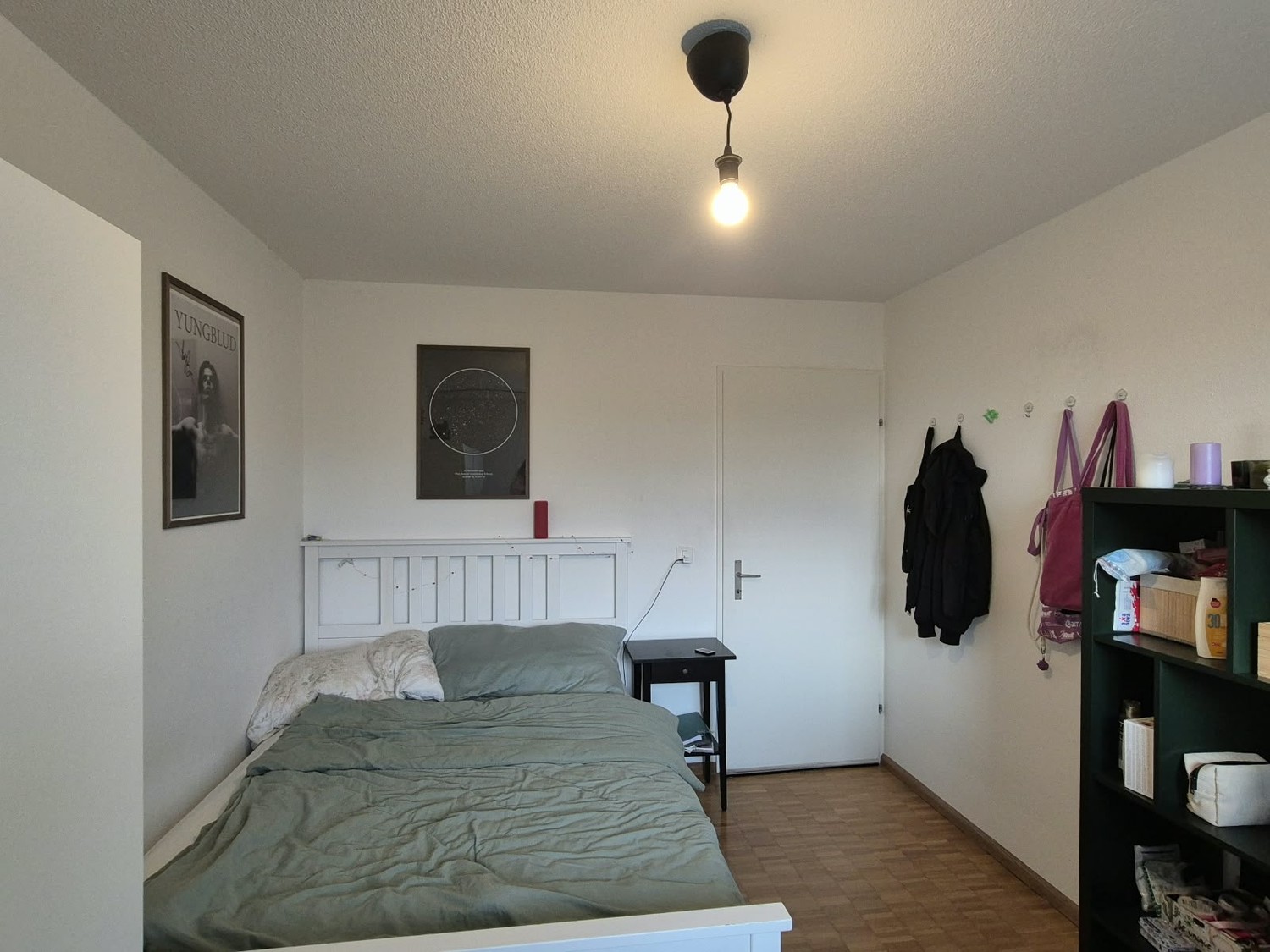 Room in a shared flat