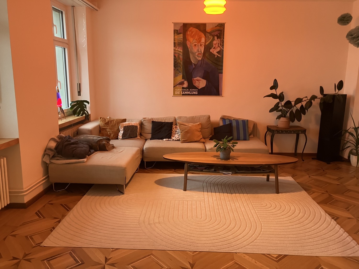 Room in a shared flat