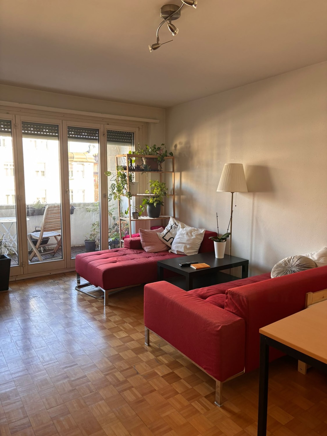 Room in a shared flat