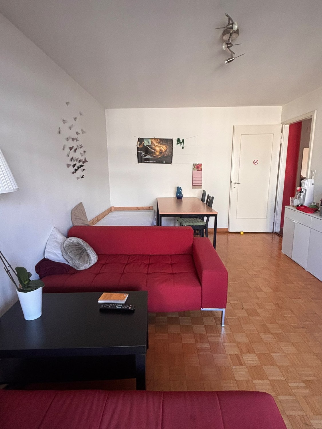 Room in a shared flat