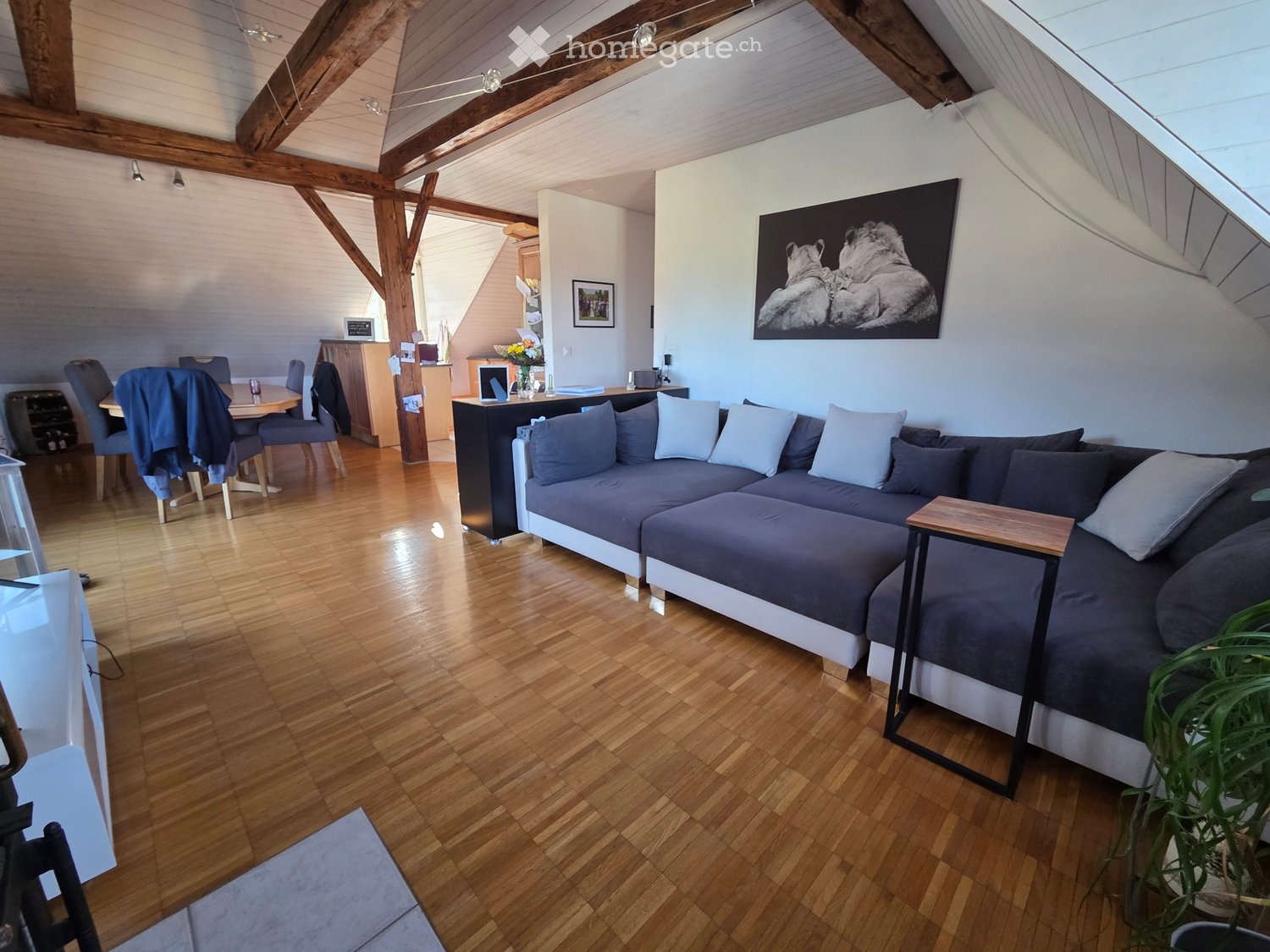 4 ½ pièces appartement