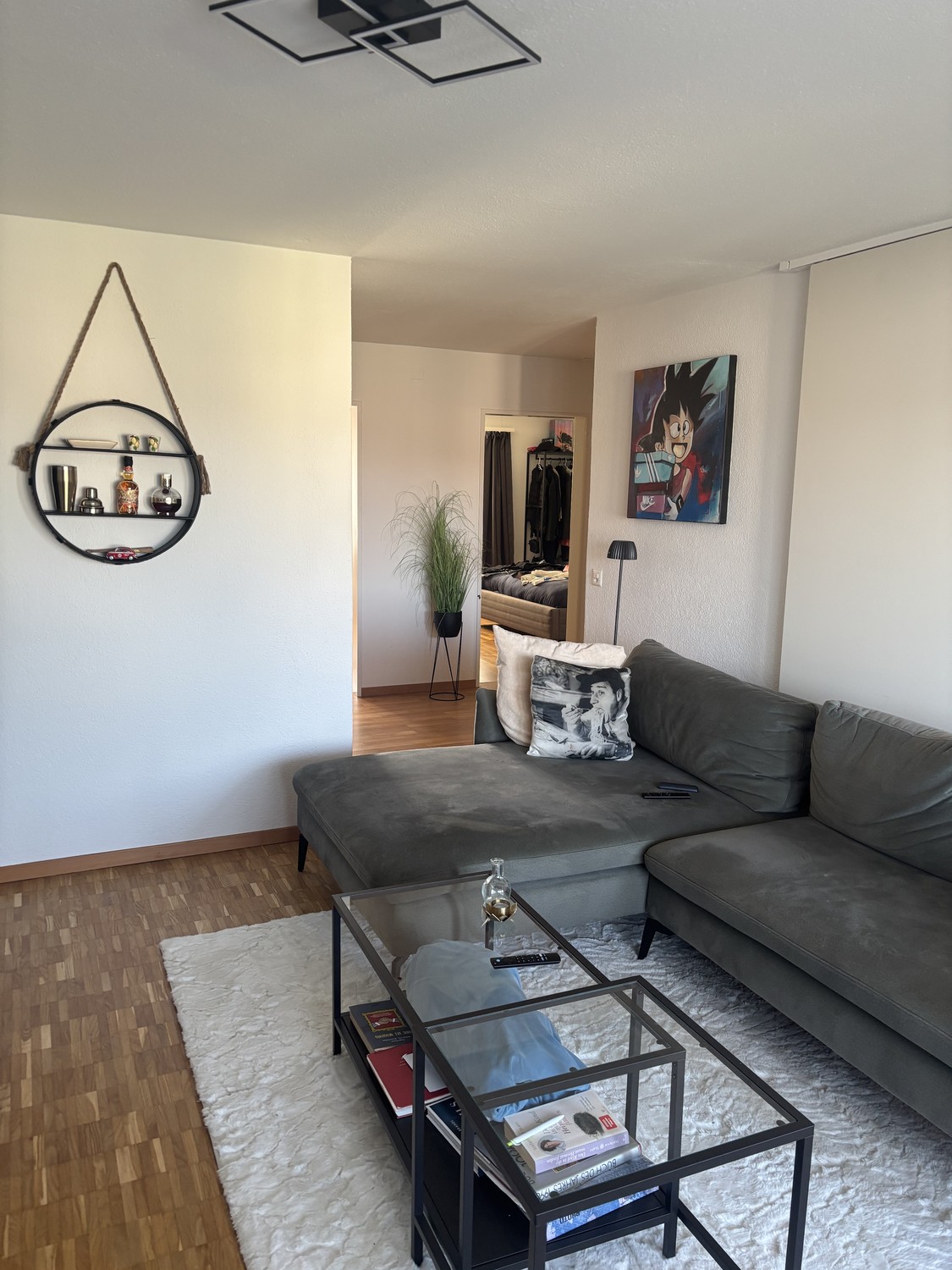 Appartamento di 3 ½ locali