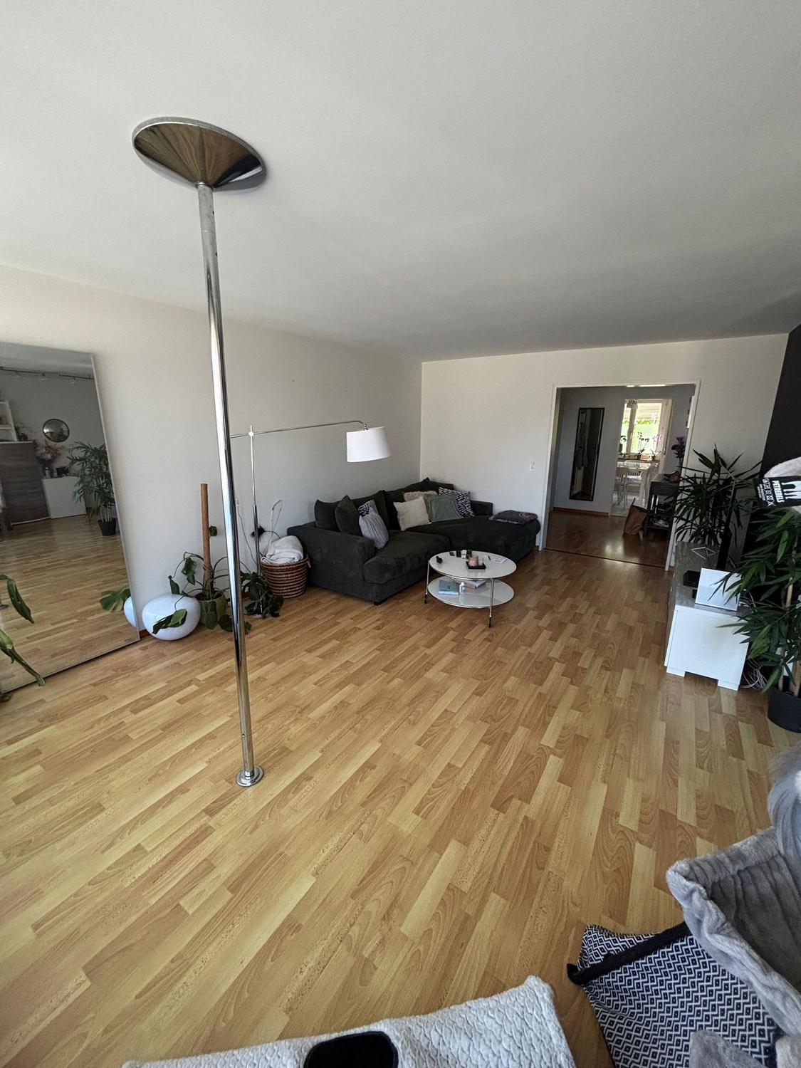 4 ½ Zimmer-Wohnung