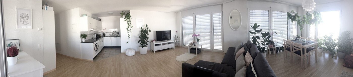 2 ½ Zimmer Wohnung, Foto 2 von 5