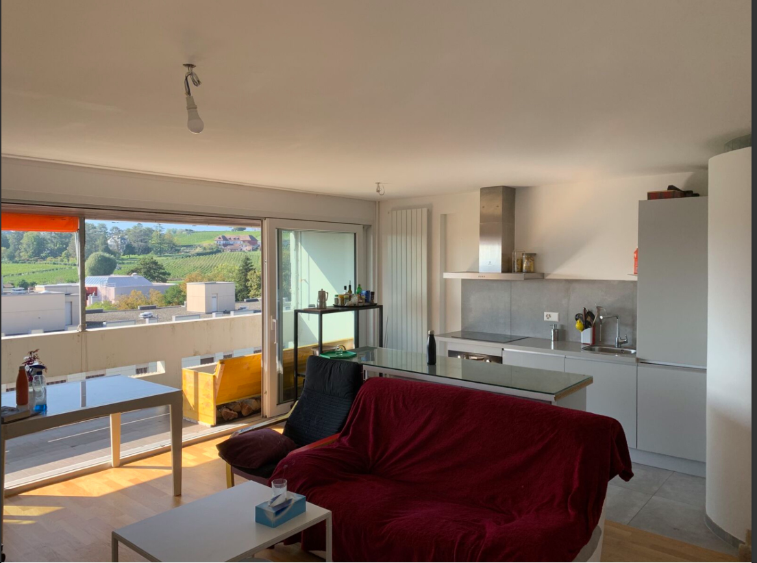 1 ½ Zimmer-Wohnung