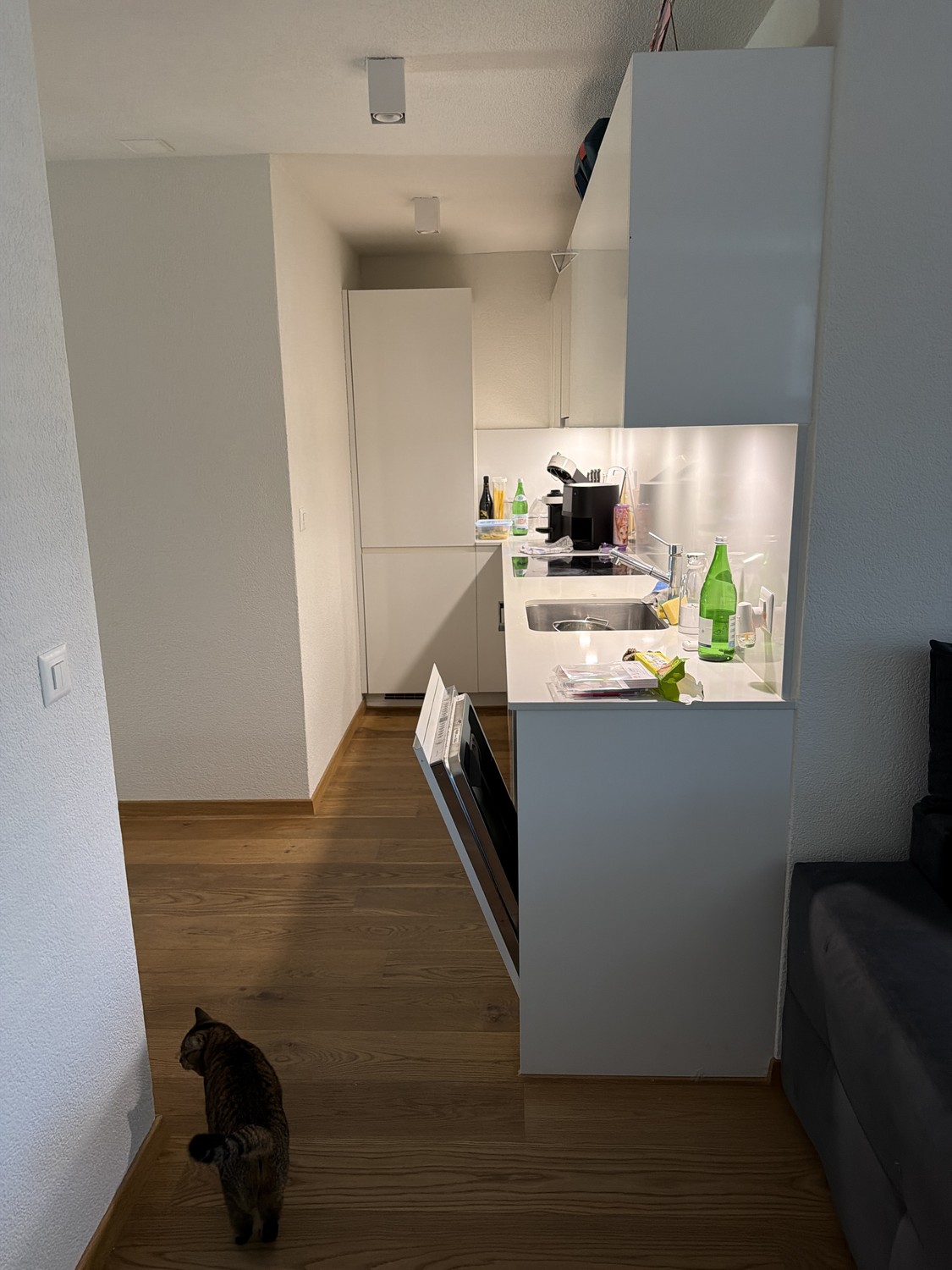 Appartamento di 4 ½ locali