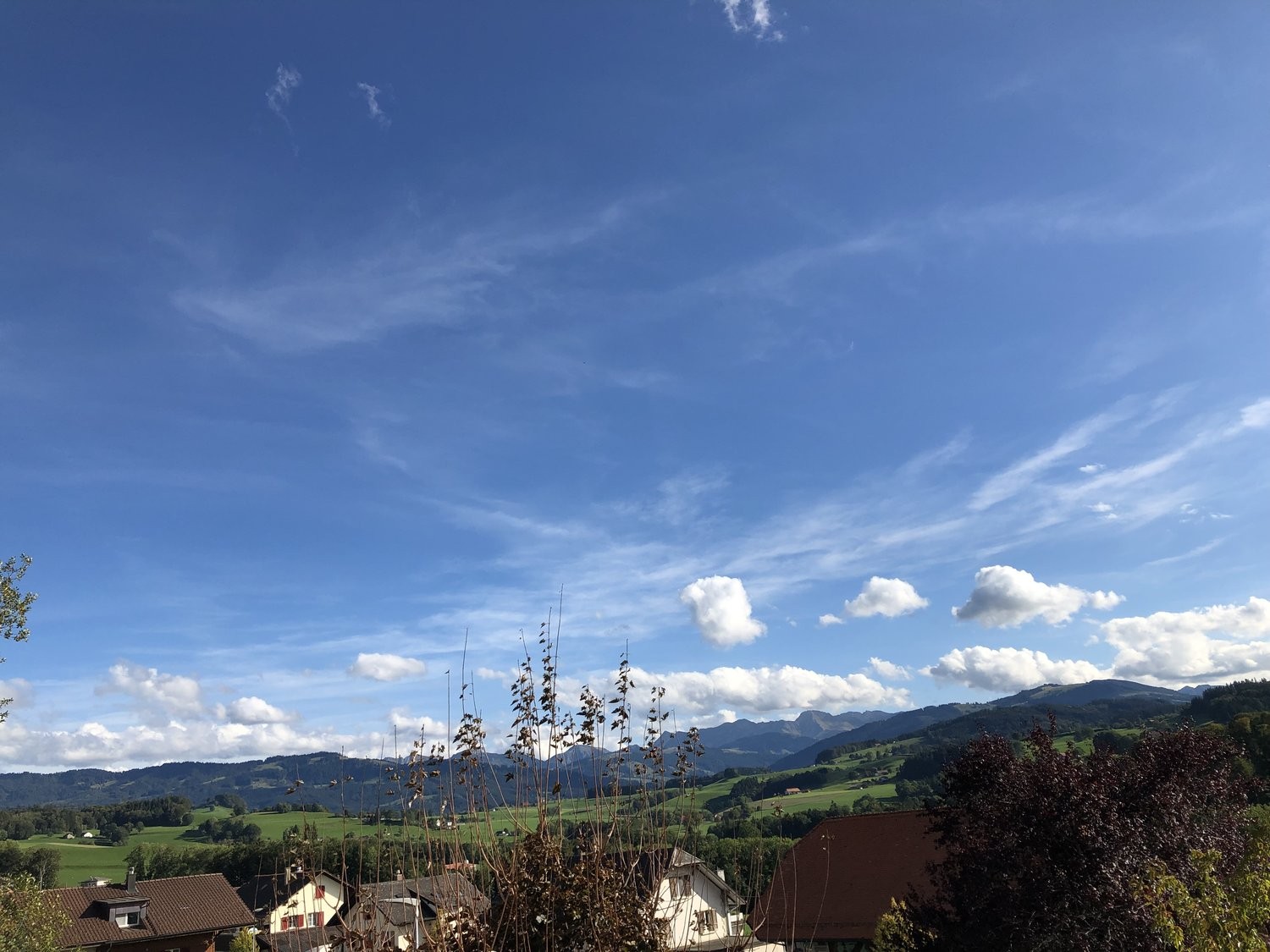 Appartamento di 2 ½ locali, foto 7 di 8