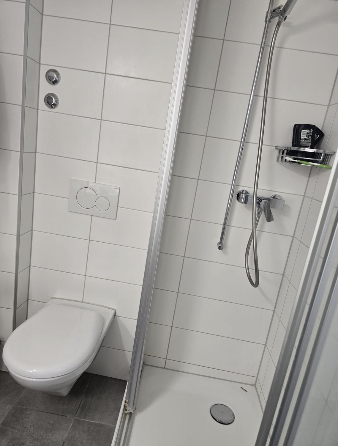 Appartement de 1 ½ pièces