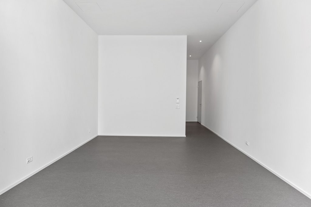 1 ½ rooms loft