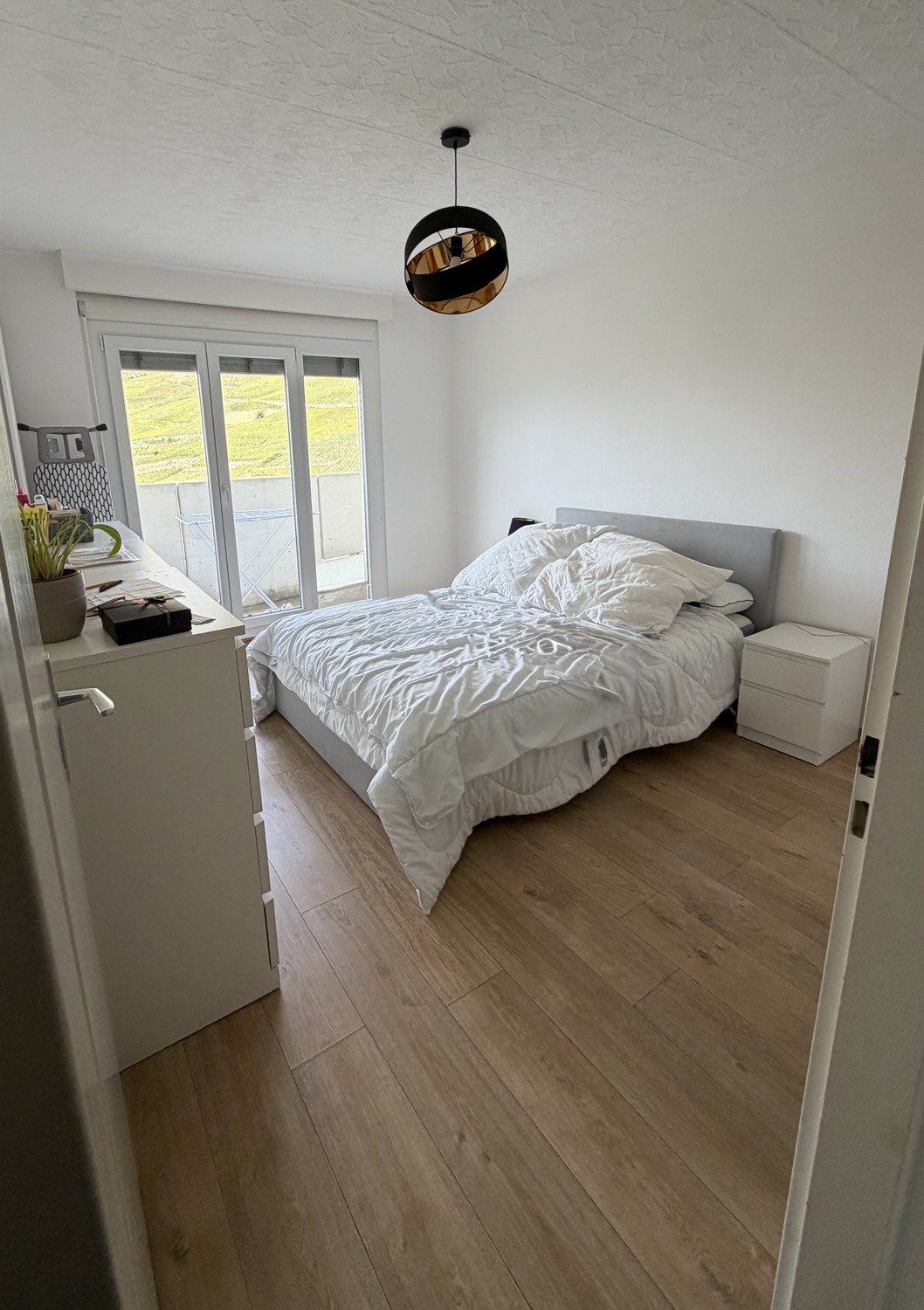 4 ½ Zimmer Wohnung