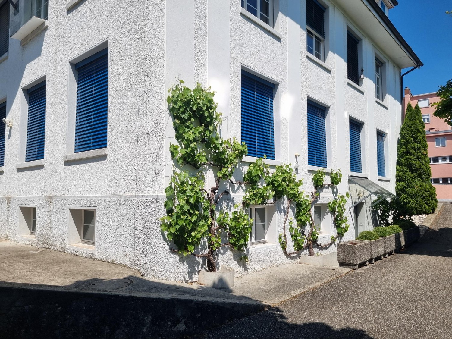 342m² office