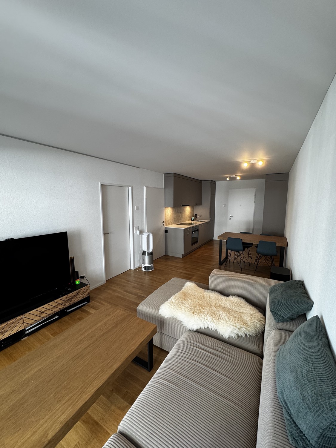 Appartamento di 2 ½ locali