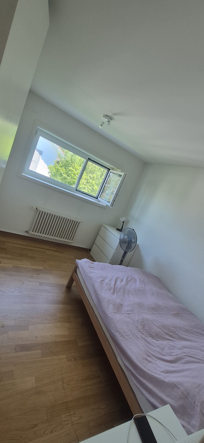 3 pièces appartement