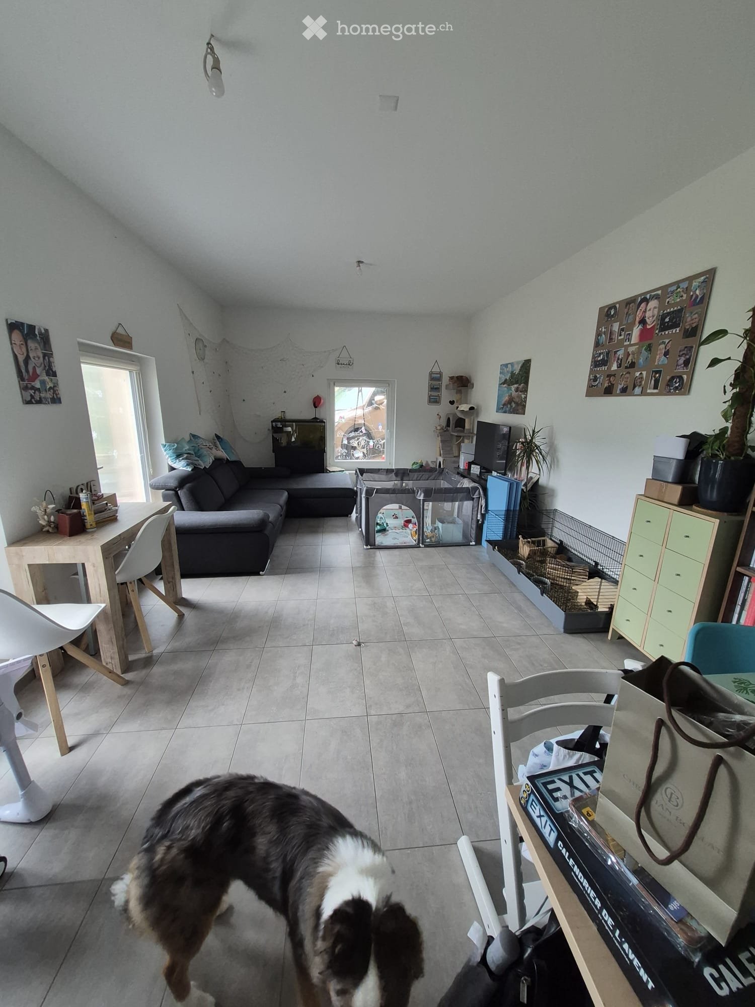 3 ½ Zimmer Wohnung, Foto 5 von 5