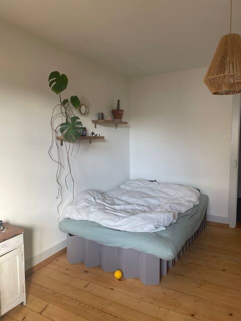 Chambre dans une colocation