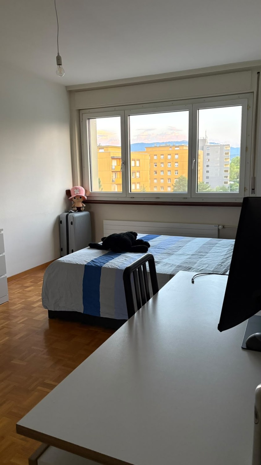 2 ½ Zimmer Wohnung
