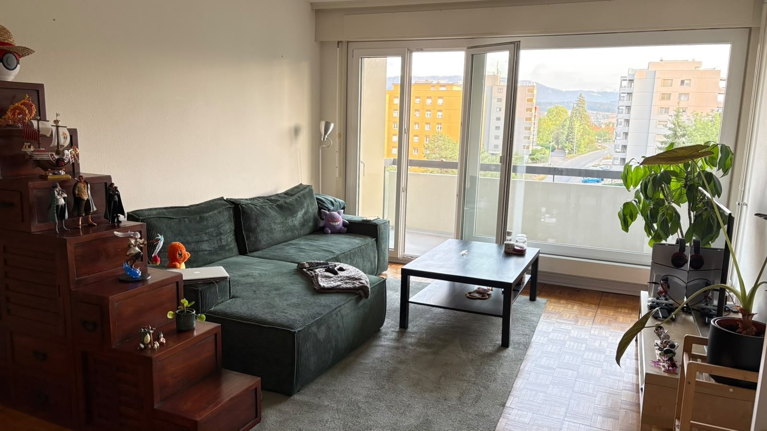 2 ½ Zimmer Wohnung