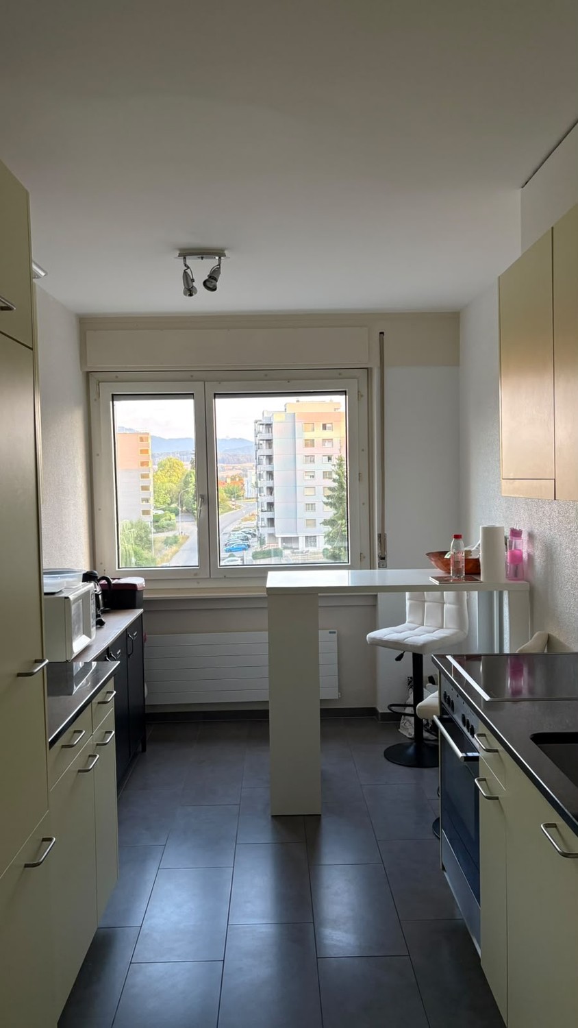 2 ½ Zimmer Wohnung